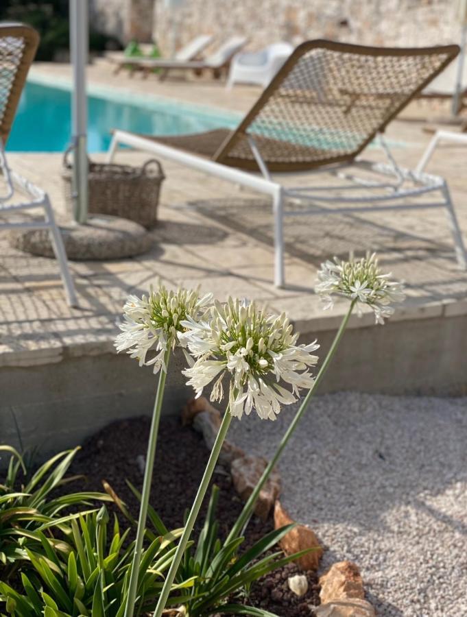 Dimora Le Ginestre Adults Only Bed and Breakfast Fasano Eksteriør billede