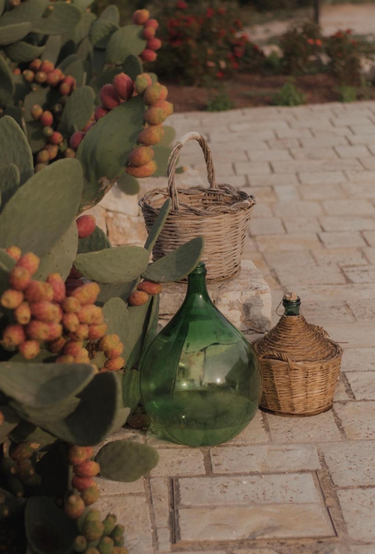 Dimora Le Ginestre Adults Only Bed and Breakfast Fasano Eksteriør billede